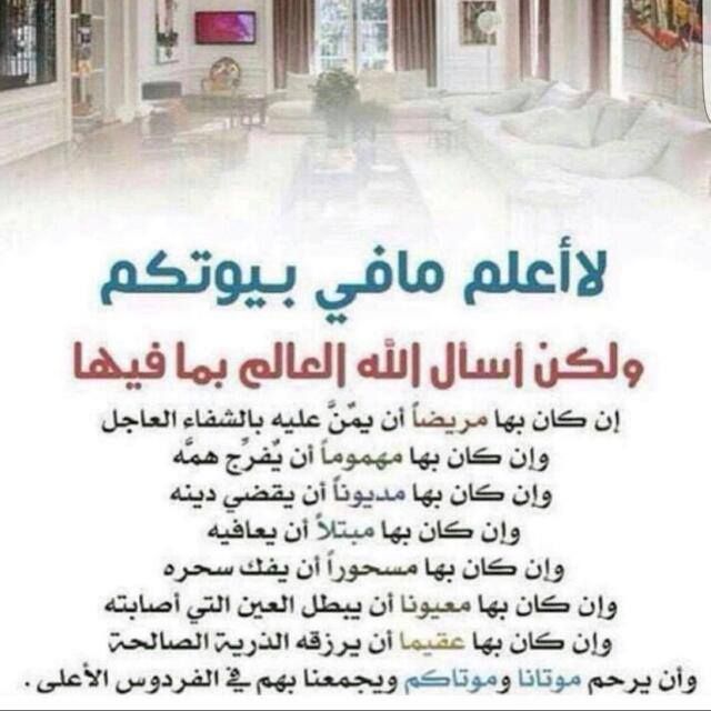 عماد السناني (@3dk7eevc74nlxef) on Twitter photo 