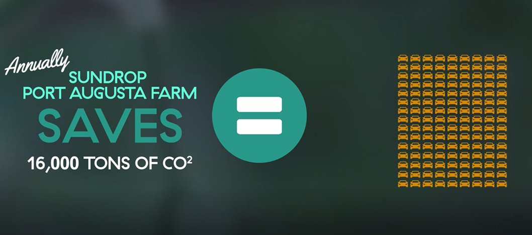 Find out what else we're doing for the environment at sundropfarms.com