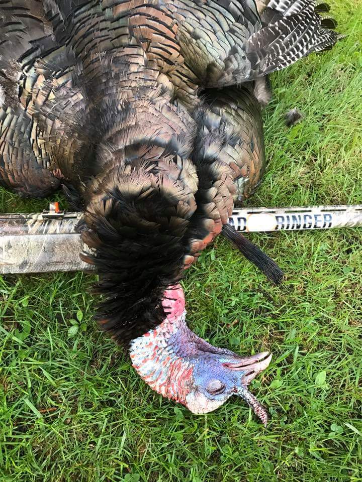 deadringerhunt's tweet photo. Thx @ChrisCcobbett for this picture. Another one down due to the #BeardBuster https://t.co/jieDZORBbK