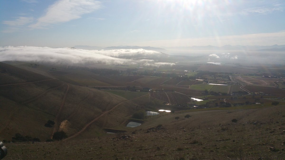 AdrenalineCPT's tweet photo. Some of the views you can except at Run With a Bang in Durbanville 27 May @runningracesZA @TrailrunSA @trailhub_za https://t.co/cbsic3KhJy