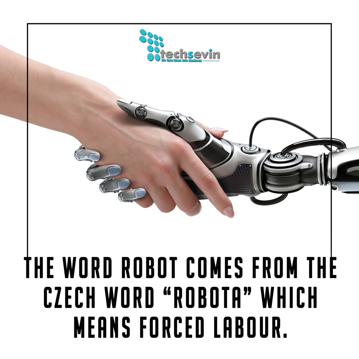 techsevin's tweet photo. 'Robots' are a blessed inventory to the mankind from mankind.
#Robot #Technology #Techfreak #Techgeeks #Techsevin https://t.co/sh12rKuR6i