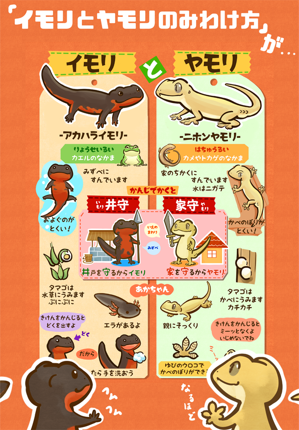 ツク之助 フトアゴ絵本発売中 A Twitter 2万超rtされた イモリとヤモリのみわけかた が絵本になりました イモリとヤモリの違いとヒミツを 二匹がかわいく解説します 5 24に新樹社より全国書店にて発売 ネット通販はこちらより T Co Oodajjmmcn 念願 ツク之助 フトアゴ絵本発売中 A Twitter 2万超rtされた イモリとヤモリのみわけかた が絵本になりました イモリとヤモリの違いとヒミツを 二匹がかわいく解説します 5 24に新樹社より全国書店にて発売 ネット通販はこちらより T Co Oodajjmmcn 念願