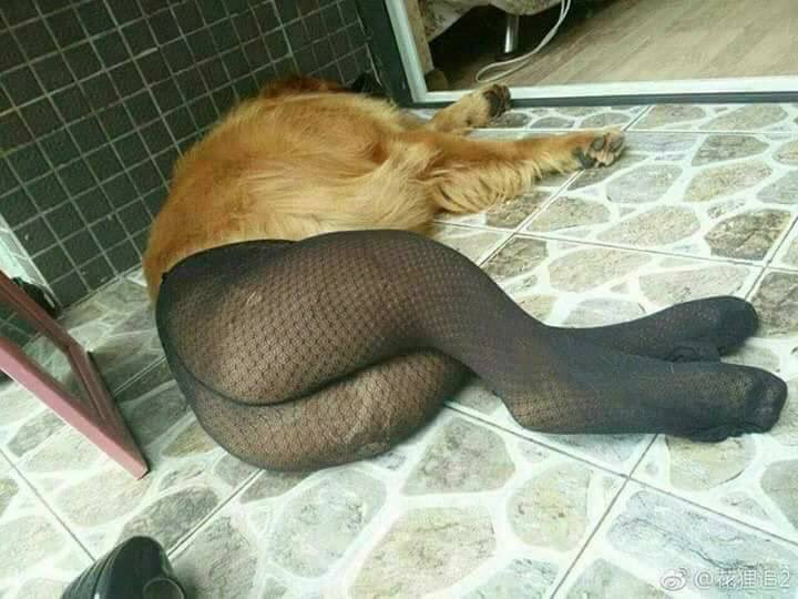 animalaround's tweet photo. พบสาวเมานอนไร้สติอยู่.. https://t.co/vN2BcHTGMI