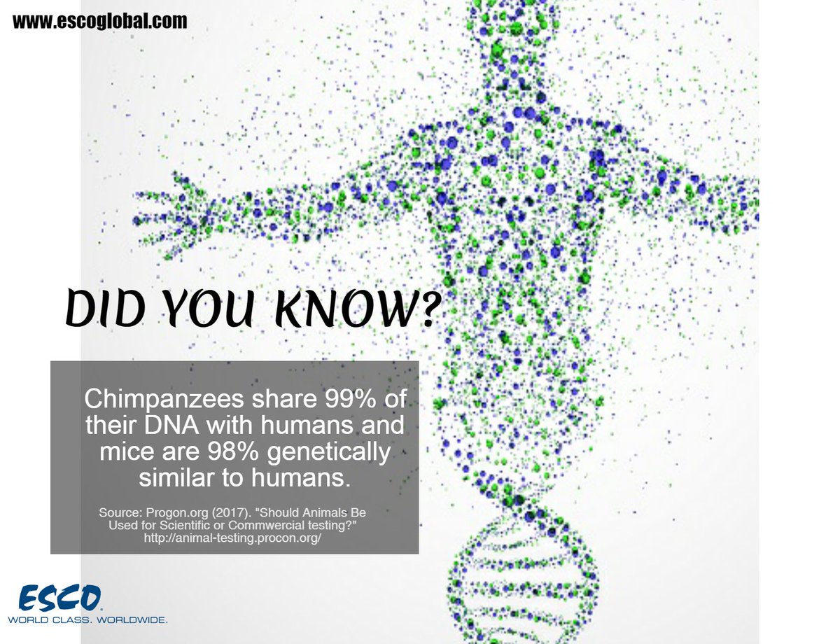 escobsc2's tweet photo. Did you know that we humans shares DNA with Chimpanzees and Mice? #esco #worldclass #worldwide #laboratory #trusted #fun #facts https://t.co/jWdbA1Ub7J