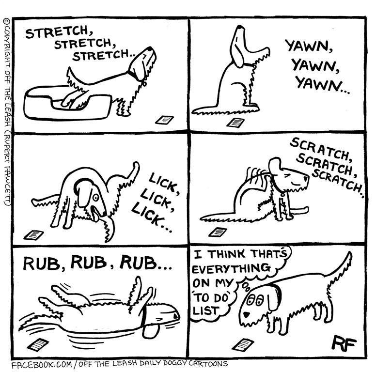 MikeBarnato's tweet photo. #FridayFramework A To-Do List for a dog https://t.co/3IJWbBLzV7