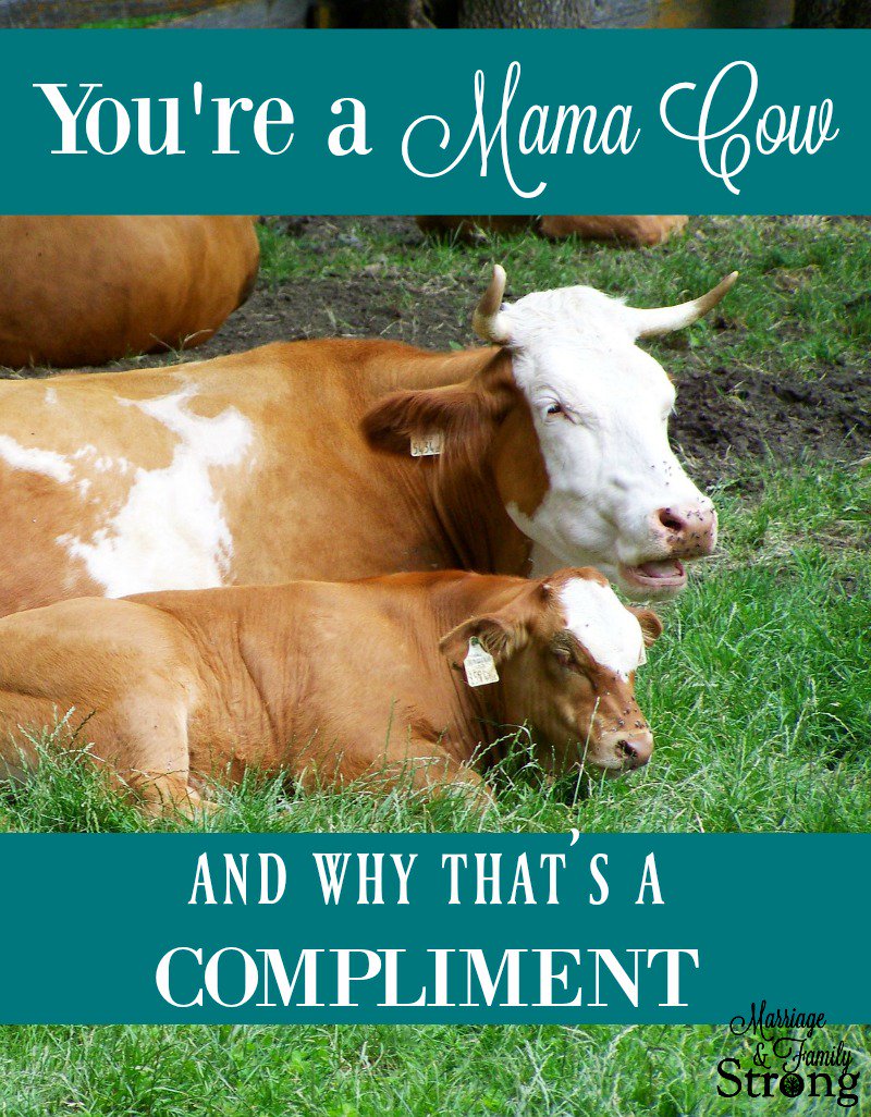 mafamilystrong's tweet photo. What do mothers and bovine have in common? --> https://t.co/3LBanNV4pw #motherhood #love #intentionallife #selfless #respect #sacrifice https://t.co/6MEkn2GDgP