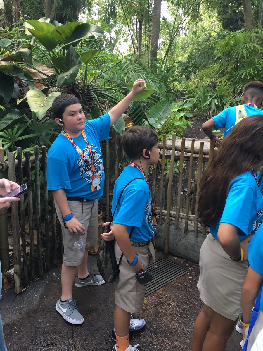 HendrrRosie's tweet photo. #NBHCA 6th Graders at #Animsl Kingdom YES Program! @MJMcLaughlin2 @RobideauArt @chapmjp https://t.co/UKN4aPJ8jY