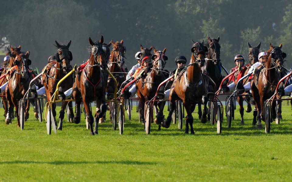 courseschevaux's tweet photo. #HIPPODROME DE #RAMBOUILLET
DIMANCHE 21 MAI 2017
RÉUNION #TROT #PREMIUM 
AU PROGRAMME 7 #COURSES
1ére COURSE A 12H05
+ ANIMATIONS #ENFANTS ! https://t.co/ZLRFMKyNFe