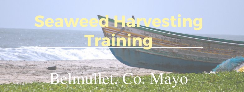 WildSeagarden's tweet photo. Training for #Seaweed Harvesters in #Belmullet May 26th 10am over Tourist office. Instructor from @BordIascMhara https://t.co/phP1kF6HRf https://t.co/LjsPnaWwqn