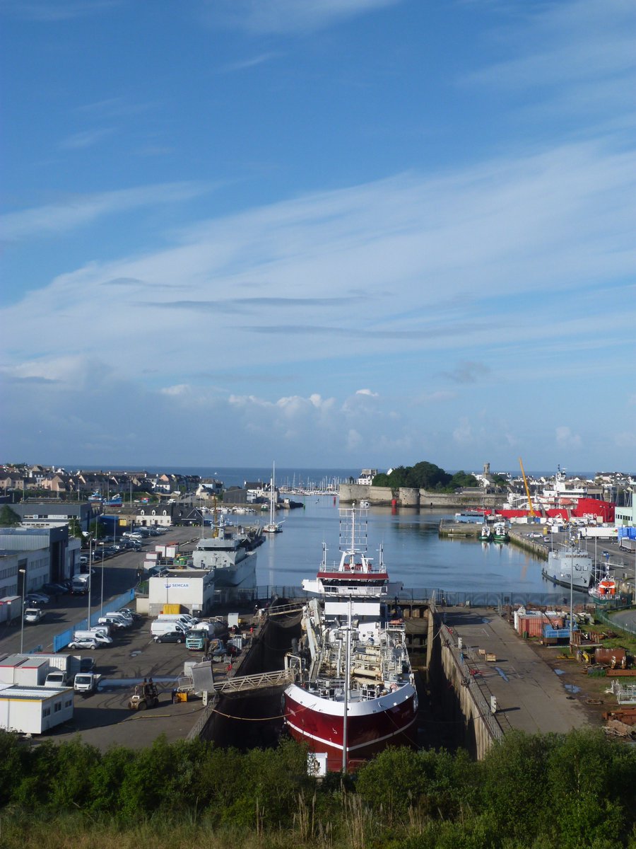 Stfmo Hashtag On Twitter - 