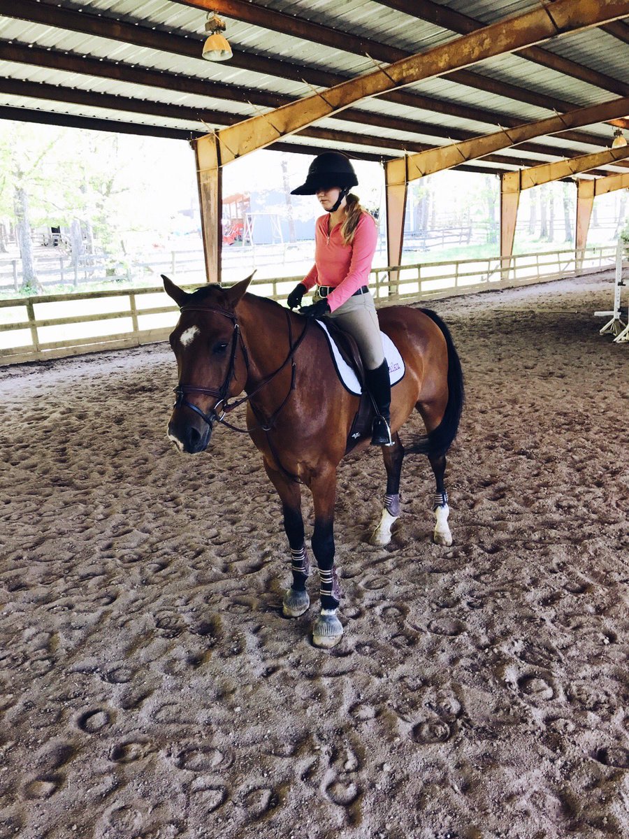 i'm back ;) <a href="/eqshowlife/">madi</a>