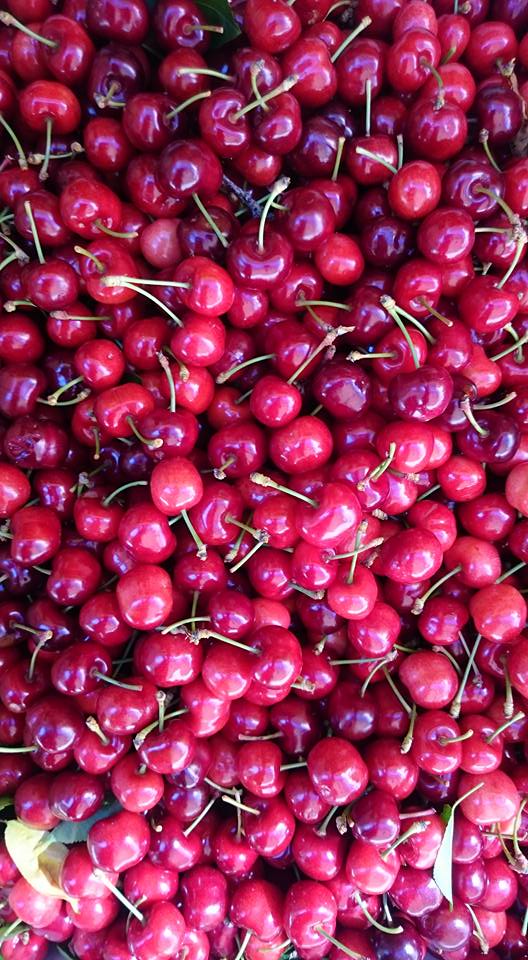 micefestival's tweet image. MICE VERTEBRANT TERRITORI Sant Mateu, al Maestrat, serà la seu més septentrional de la MICE2018. Ratllant ratllant amb la frontera catalana