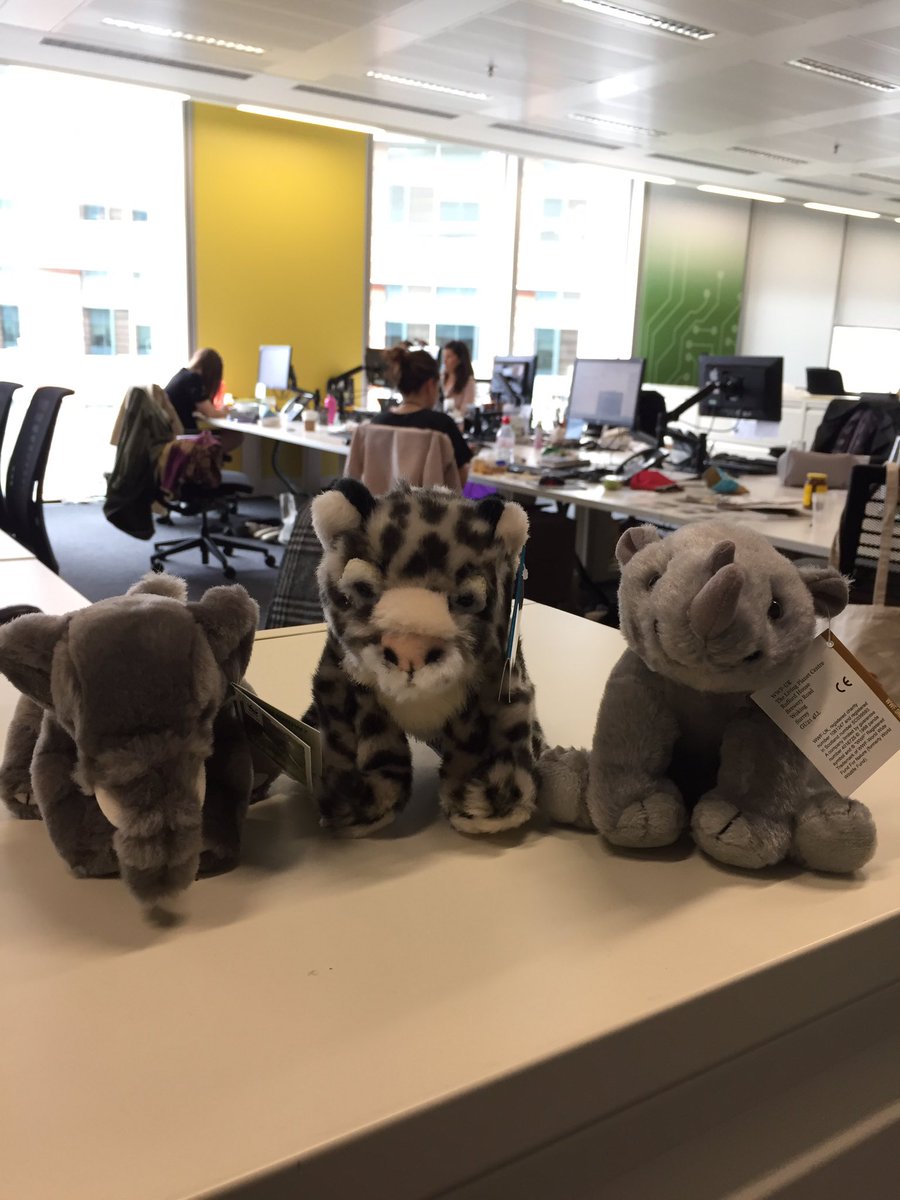 AccessLon's tweet photo. .@wwf_uk protects them, now they protect our office. Welcome Kiruba the elephant 🐘, General the snow leopard 🐆 and Lankeu the rhino 🦏 https://t.co/CWtfCdK8EE