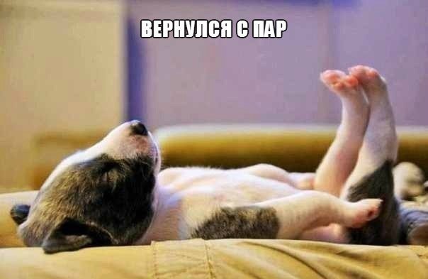 StudOtvet (@studotvet) on Twitter photo 