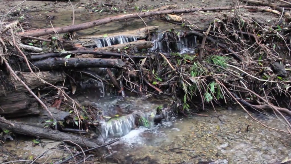 EmpireOfRelax's tweet image. goo.gl/JqRRWd --&amp;gt; Calming Forest Stream Nature Sounds for ... #CalmingMusic #ForestStream #ImprovedSleep #IncreasedFocus