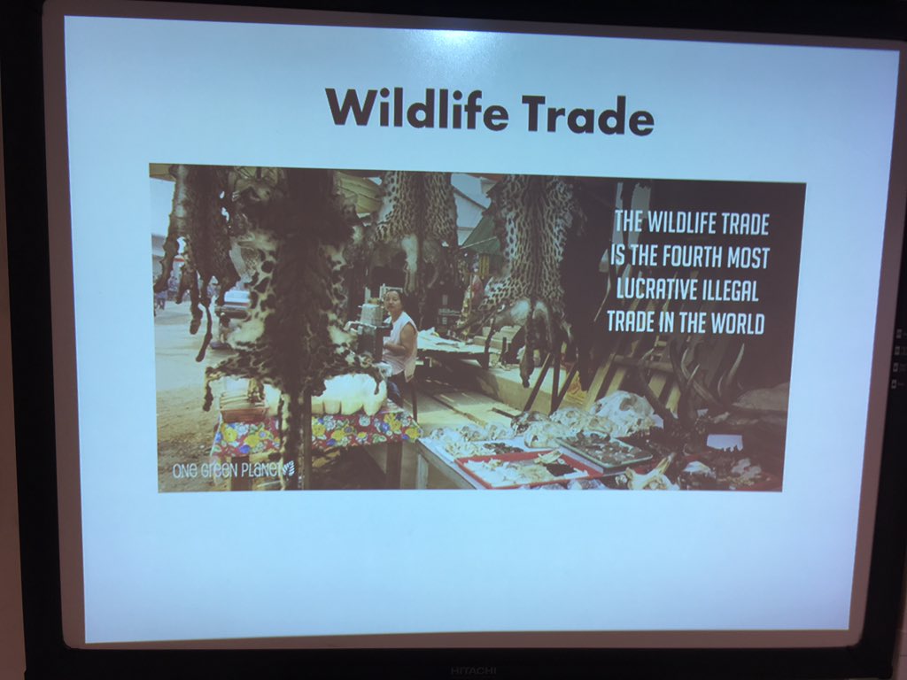 tcsoascience's tweet photo. S2 Continuing the @TheCSoA Summit with a focus on illegal wildlife trading to raise awareness of this global issue #wap #rc #globalcit https://t.co/6jMuakYA6F