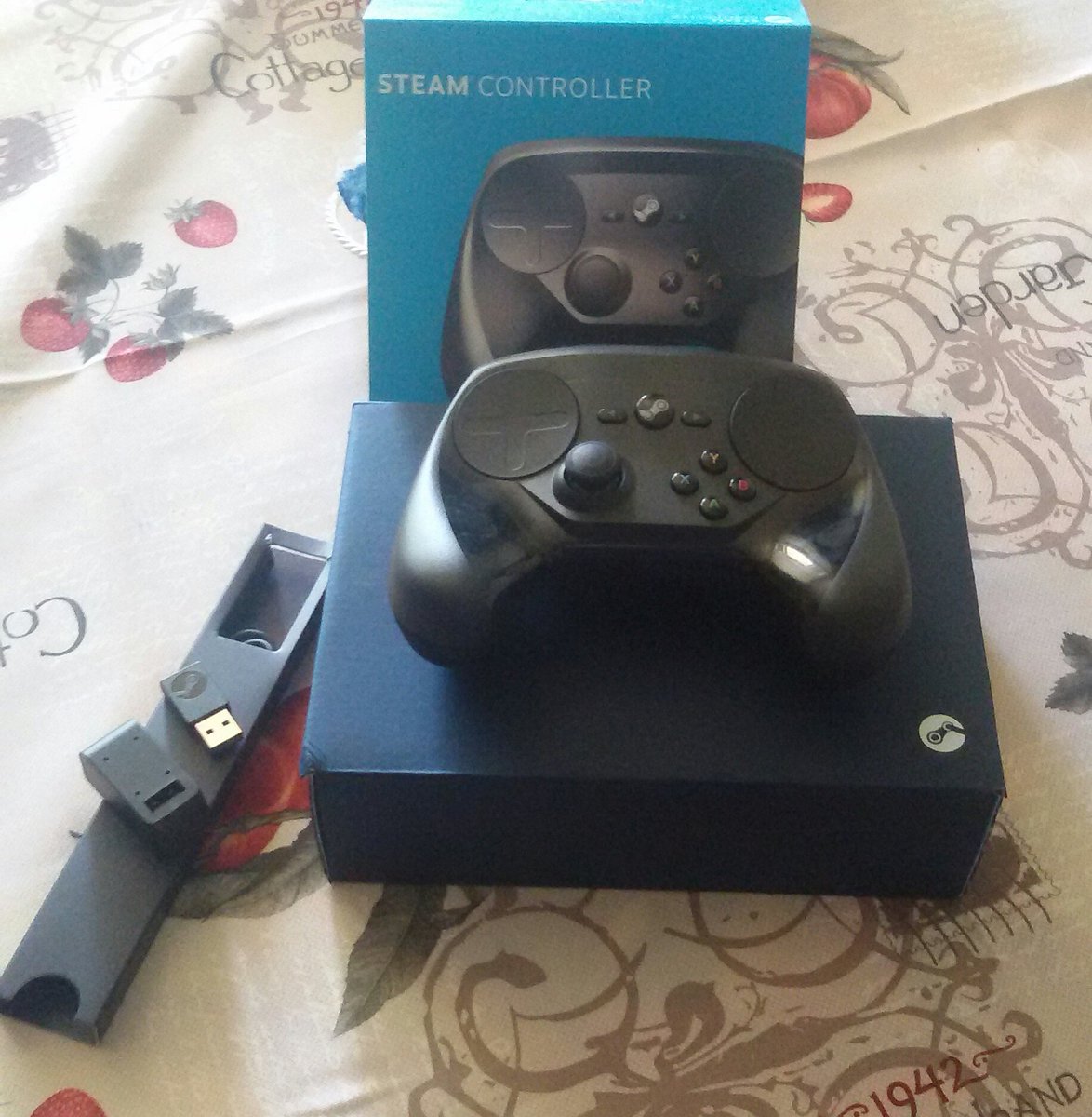 Chiakigte's tweet photo. Welcome home, my baby. Ty @steam_games, very fast and good shipping π #steamcontrollers w/@ScionWoW https://t.co/Xd2TJYFub2