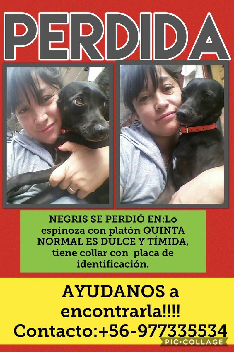 #extraviadosensantiago #quintanormal