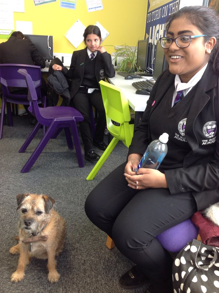 TOANWOODLANDS's tweet photo. Mrs Godwin's dog Brodie comes to school for the day #oldhamacademynorth #teamTOAN #dog therapy https://t.co/26wOYLIv8k