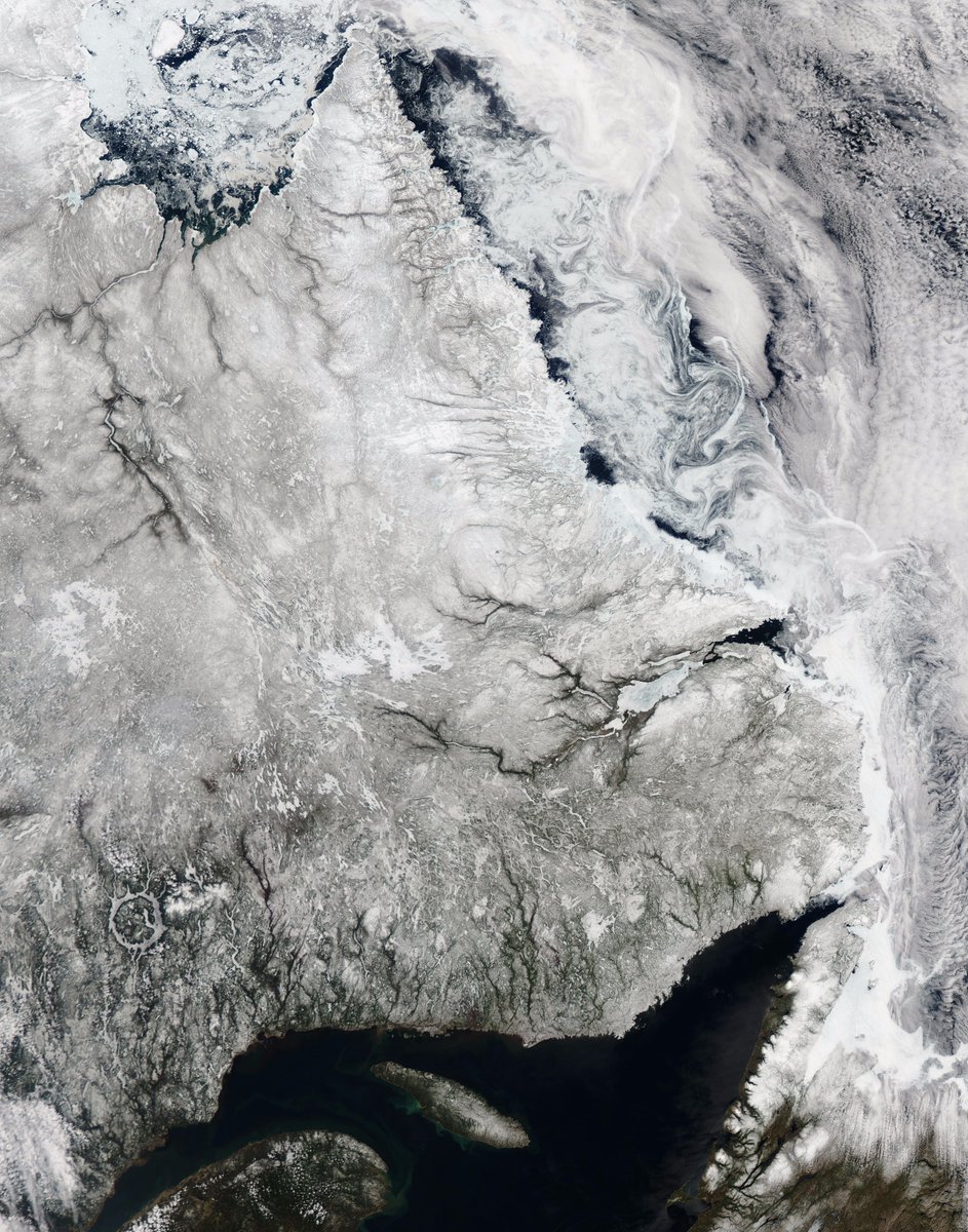 Cmdr_Hadfield tweet picture