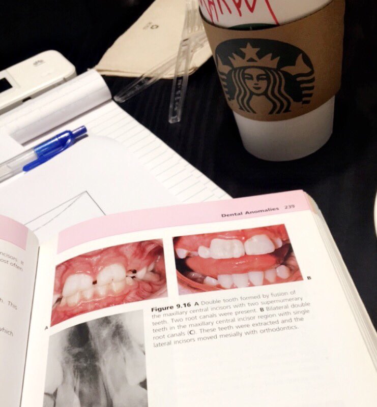 SDSA. tweet media