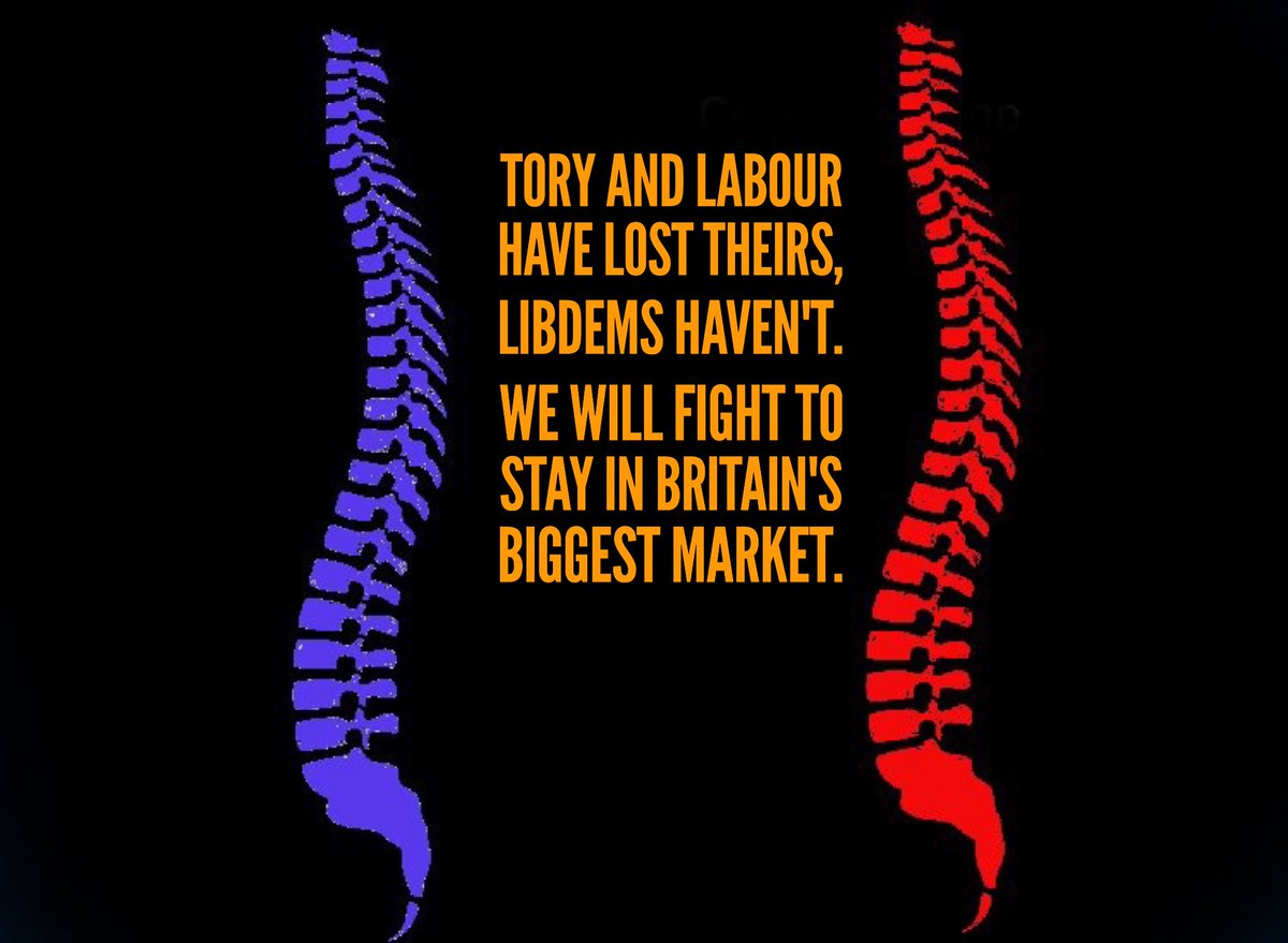 lewiscoughlan's tweet photo. Let's fight Brexit all the way vote #libdems #ge2017 https://t.co/1zdQ3yGOeX