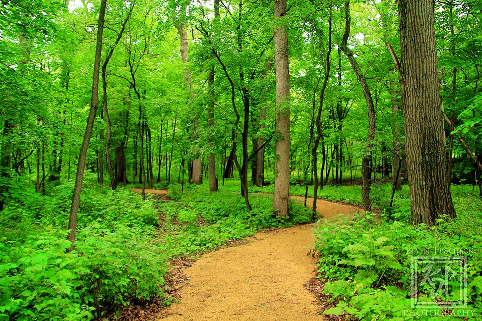 KjpPhotography's tweet photo. #CarverRoehlTrail #CarversRock #Wisconsin #canon #CanonBringIt #Tamron #photography #nature #woods #WoodedPath #trees #adventure 7-6-2015 https://t.co/NmP8svY2m1