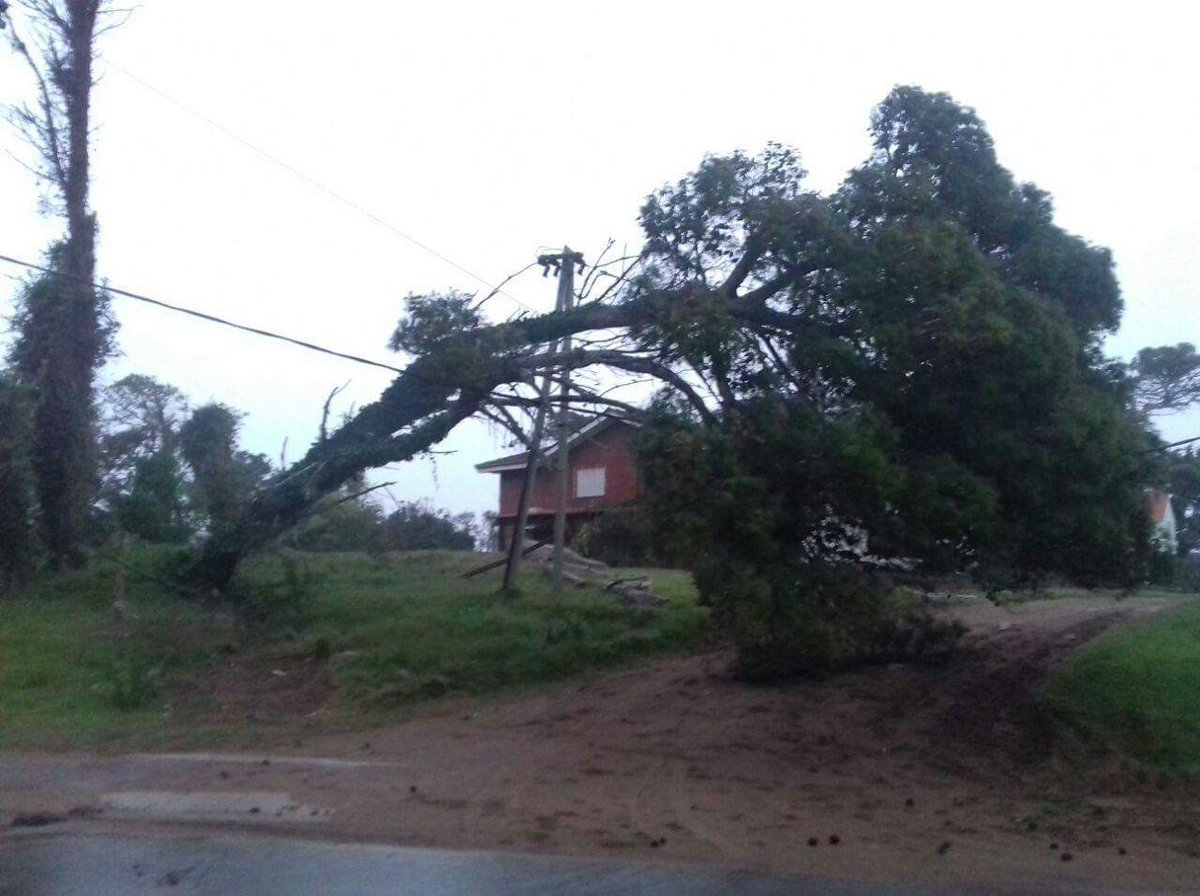 dorrego_juan's tweet photo. Temporal en Pinamar
(Fotos #Pinamar24) https://t.co/ZmQS4pQ8Bt