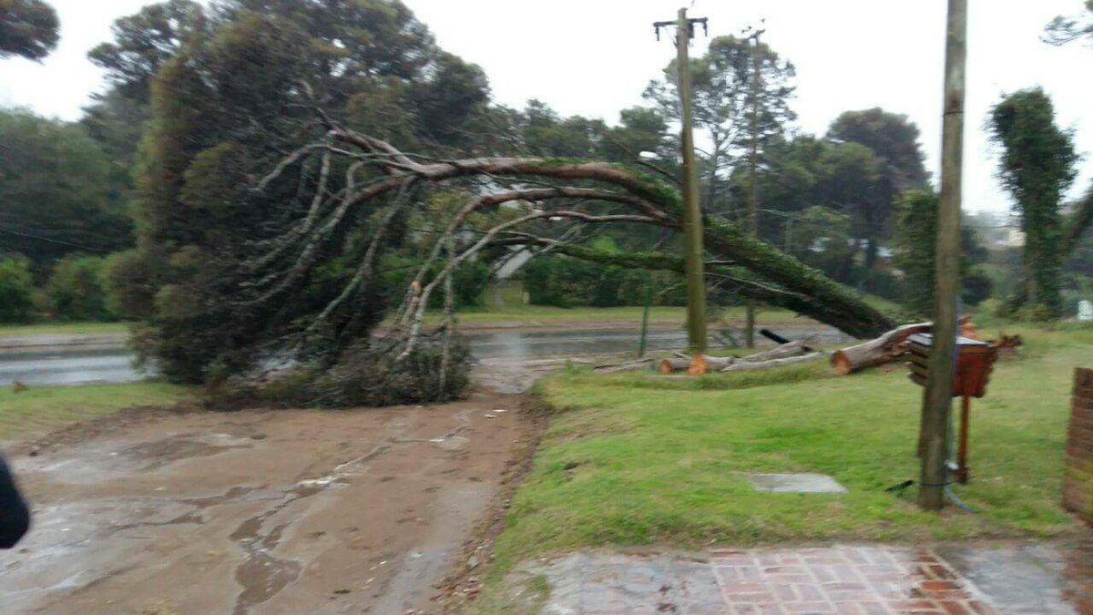 dorrego_juan's tweet photo. Temporal en Pinamar
(Fotos #Pinamar24) https://t.co/ZmQS4pQ8Bt