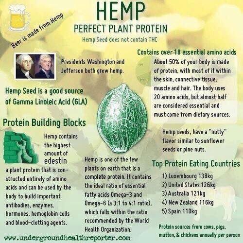 hempproductsQPE's tweet photo. #Hemp seeds R the most natural, perfect plant #protein. #Edestin is a plant protein full of over 18 essential #aminoacids. #hemp4yourhealth https://t.co/3duiBMC4T8
