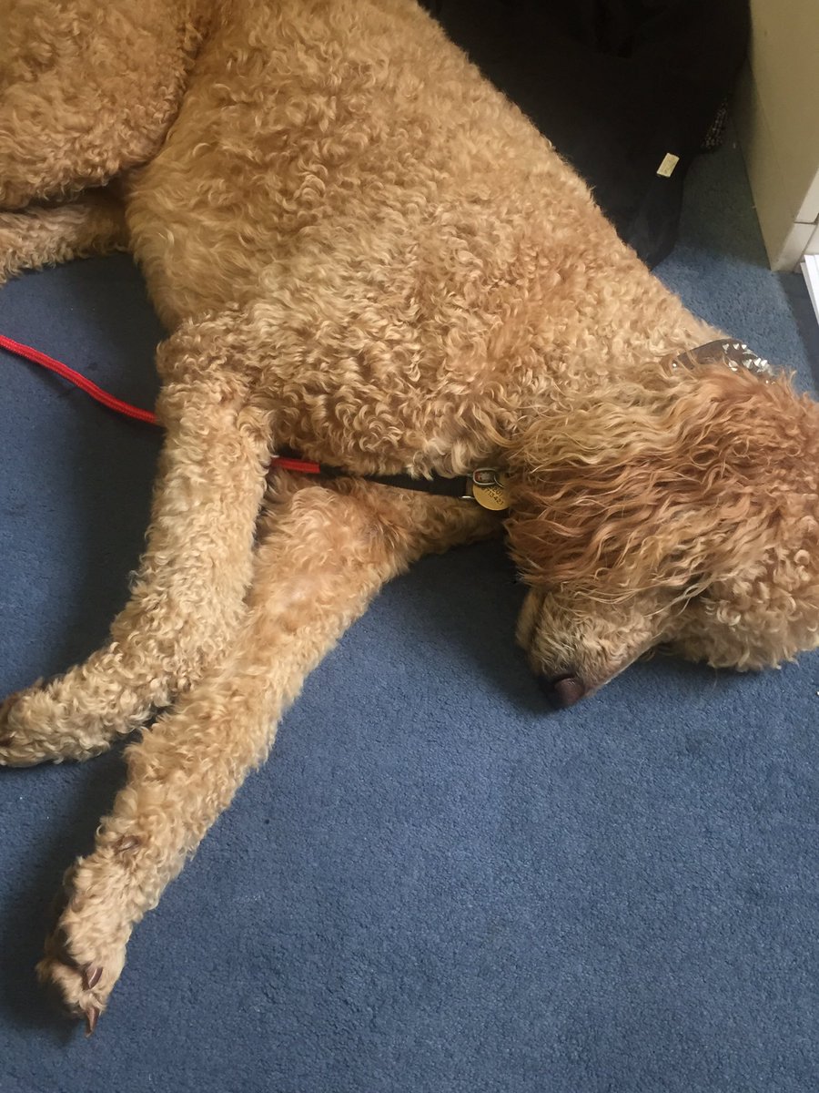 MallGalleriesEvents tweet media