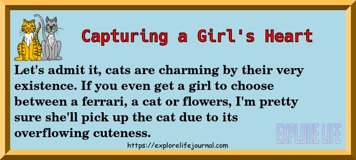 MyCatHappy's tweet photo. How come cats are so cute that they capture a girl's feelings? #Cuteness #Cat #Howtogetagirl https://t.co/YkFpmdPPVQ