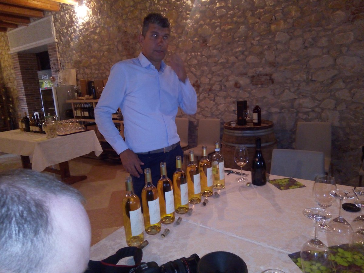 Lucia Vesentini tweet media