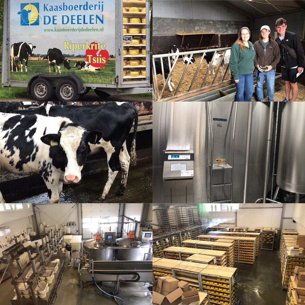 Dairy FIT's Colton Atkins, Kaysie Jennings and Catie McVey visited local Dairy Kaasbeederij de Deelen! #TTFChallenge2017 #amsterdam