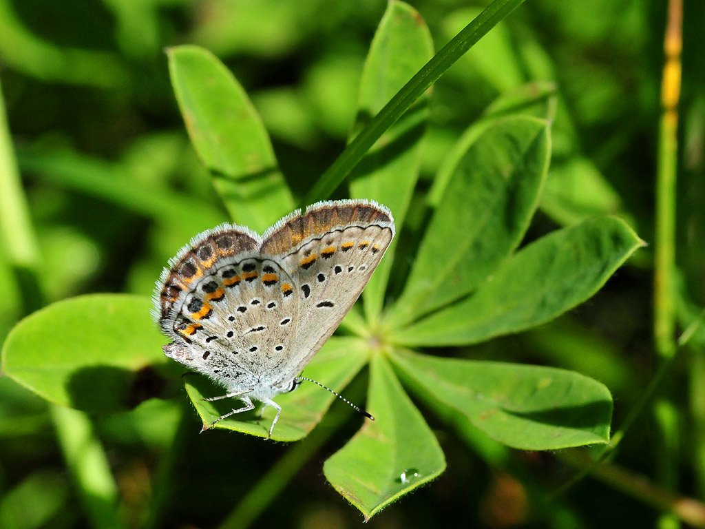 USFWSClimate tweet picture