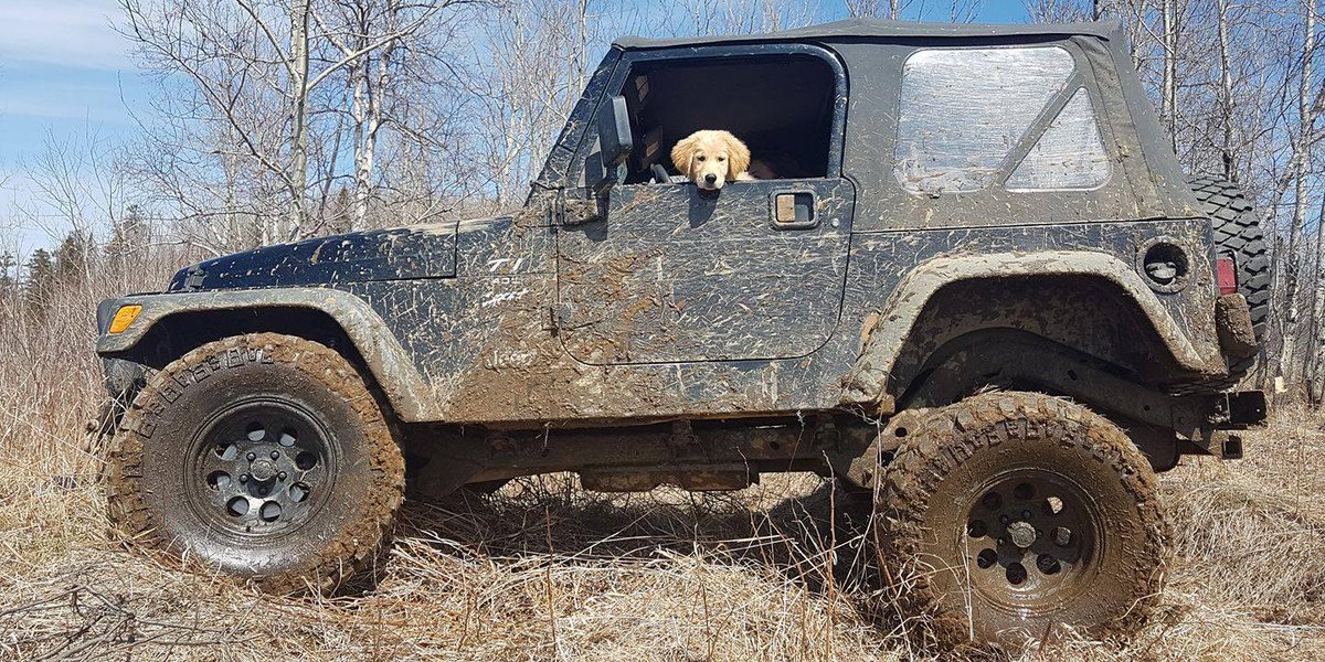 Ready for the #JeepWeekend. 📸 : Donny B.