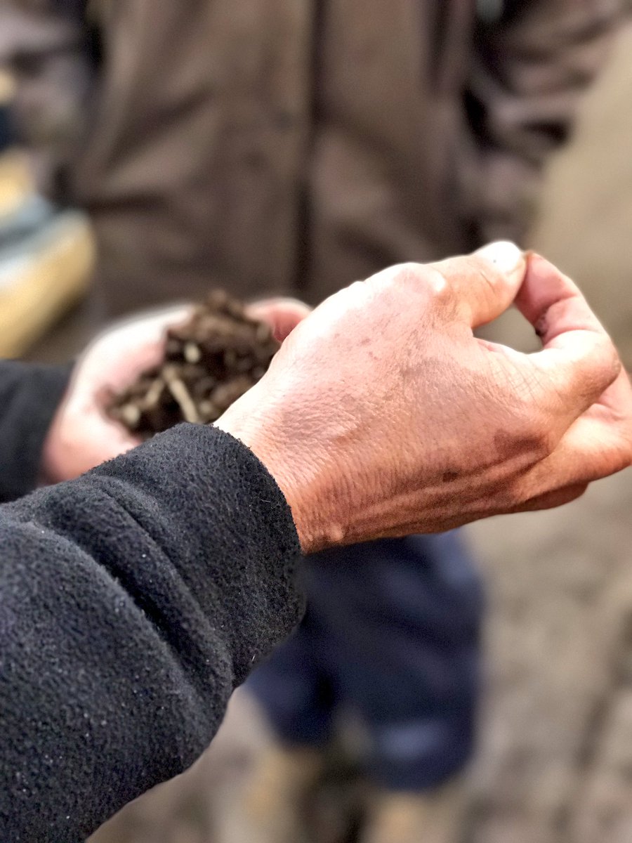 BD_landscape's tweet photo. Huge thanks to @WyevaleNurs for the guided tour around the tree &amp; container #nursery earlier this week #devilinthedetail #CPD #localstock https://t.co/R6iKPErayv