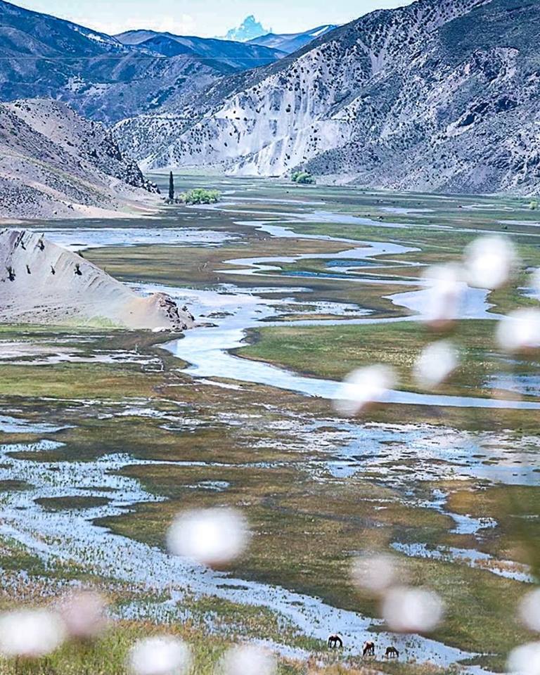 rtn_neuquen's tweet photo. AHORA #ImpactoMusical con @chechealumine | Sábados 11 a 14 x FM 104.9 | foto: fondo Laguna Cari Lauquen noroeste del #Neuquén ph: Juan Olmos https://t.co/6RsC6HEyd0