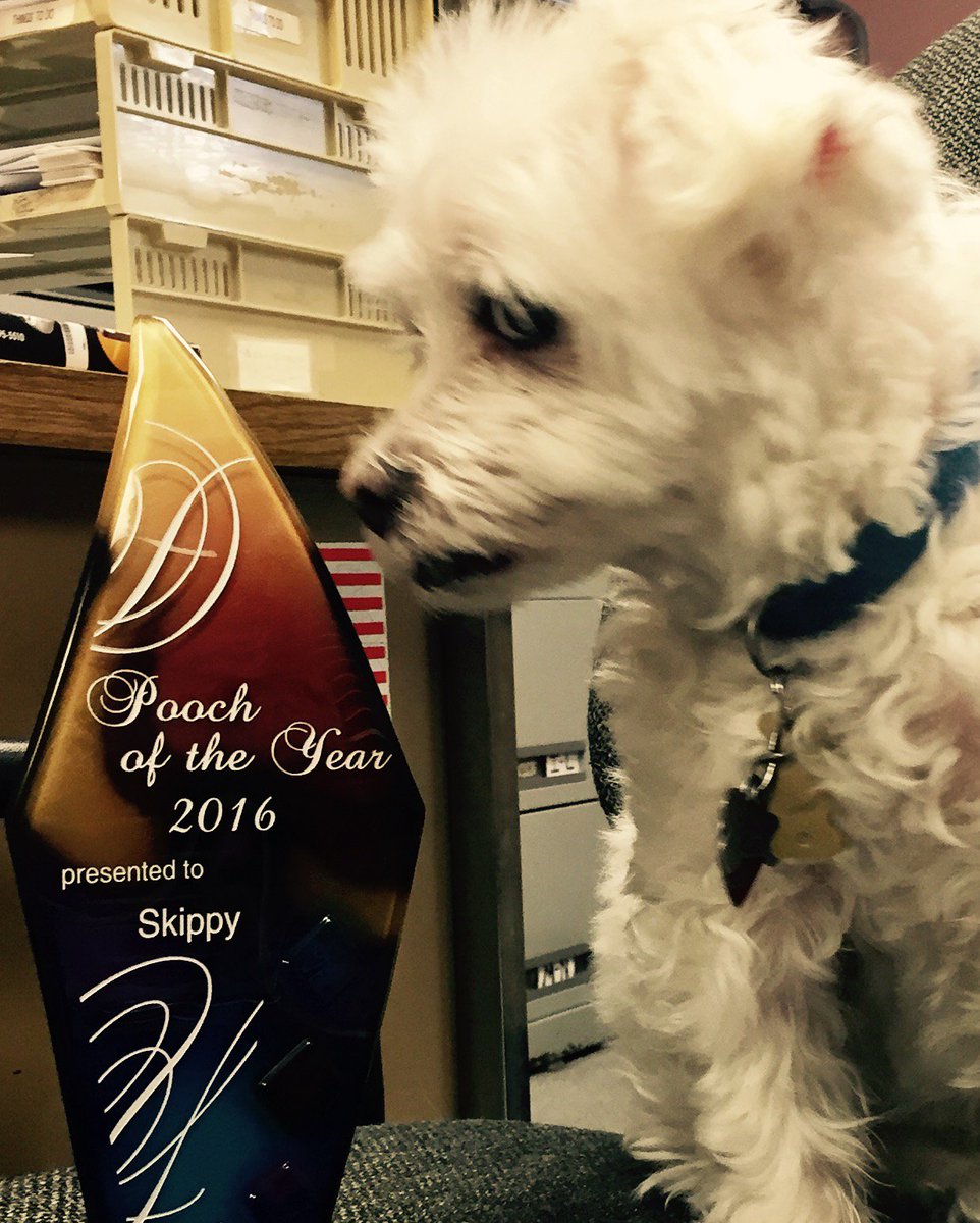 GILL_ID_SYSTEMS's tweet image. Skippy wins pooch of the year.