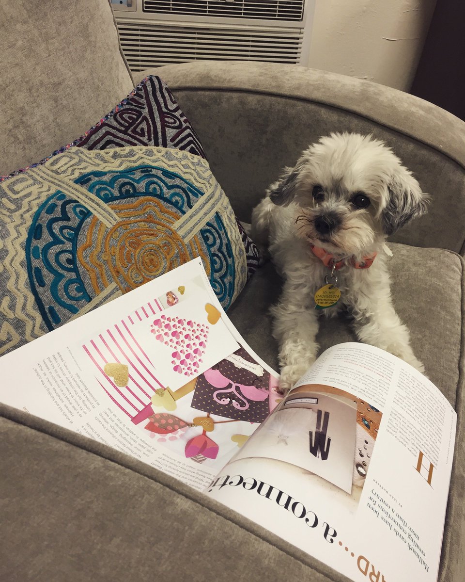 AnchorPaper's tweet photo. When Biene is in the office, she catches up on her #PrintWorks @goNPTA reading! #WeLovePaper #FinePaperFriday #TeamAPC #Mascot https://t.co/MdLU7lGfcw
