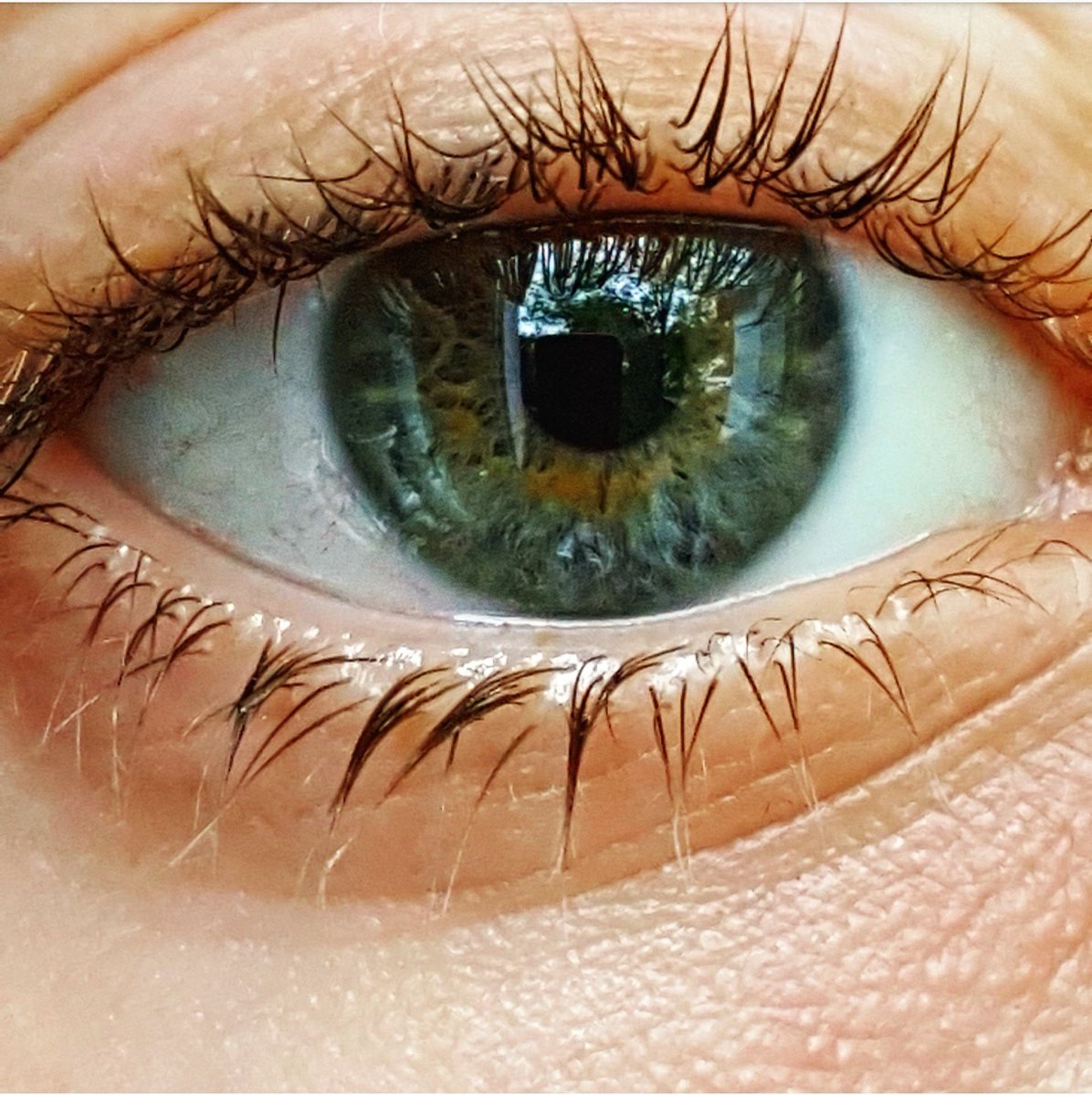 Drawingthem0_o's tweet photo. Eyecolour always changes when we are crying 😓 https://t.co/GsgvnW7MSZ