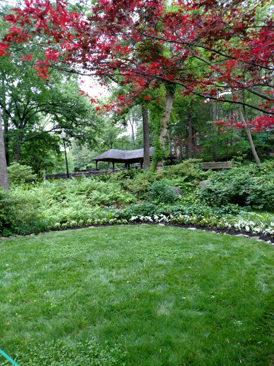 sleepybluekitty's tweet photo. The green spaces here are amazing!  #travel #travelblogger #greenvillesc #fallsparkonthereedy https://t.co/kiQA1OLHJG