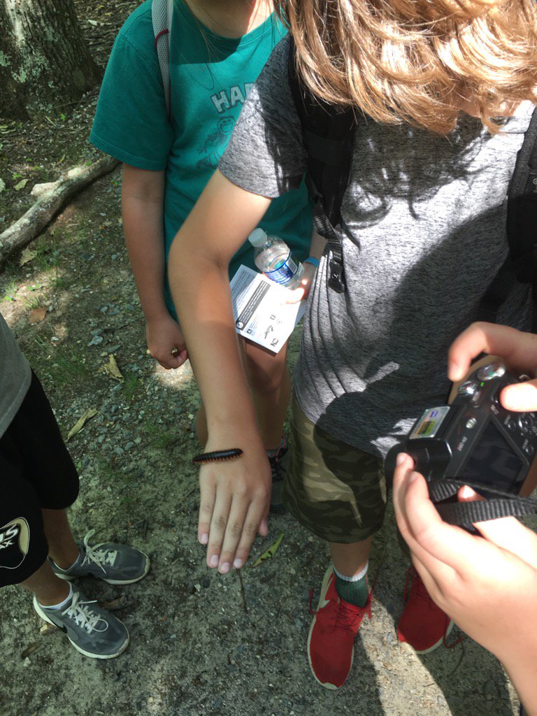 summit2bluridge's tweet photo. Found a pet!#momlookwhatIfound https://t.co/AtjncPIBIz