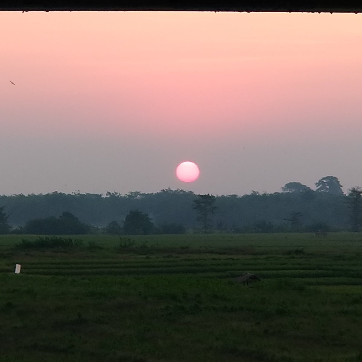 we_ende's tweet photo. sore di mekarwaru (2/2) https://t.co/GUBQb2MFcn