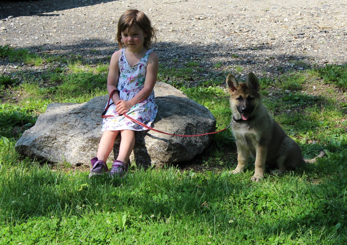 john madden tweet media