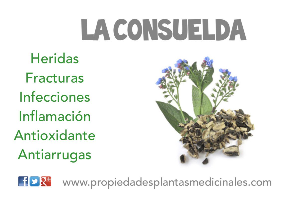 propiplantas's tweet photo. 💚🌳#fracturas #heridas #inflamación
https://t.co/cZaNkIialJ https://t.co/DozQSjq7DF