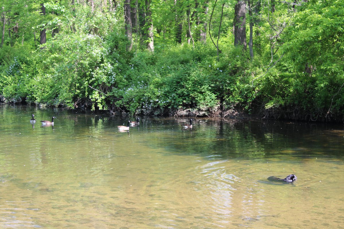 john madden tweet media