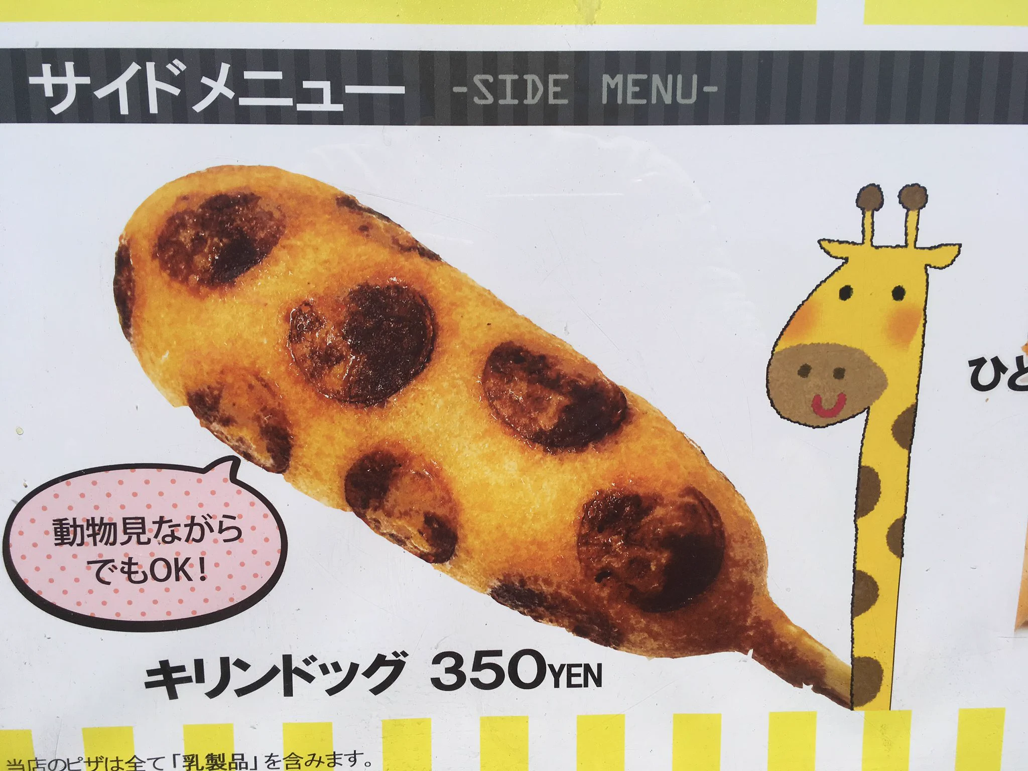 グルメもがんばっている！東山動物園のコアラのアイスがなんとも言えない表情をしているww