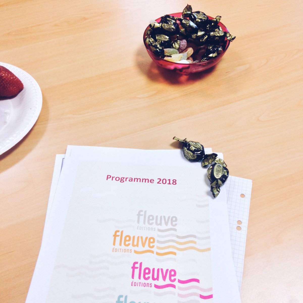 Fleuve_Editions's tweet photo. Des livres, des livres et des bonbons. #réunion #programme2018 https://t.co/xWaEhQY4qC