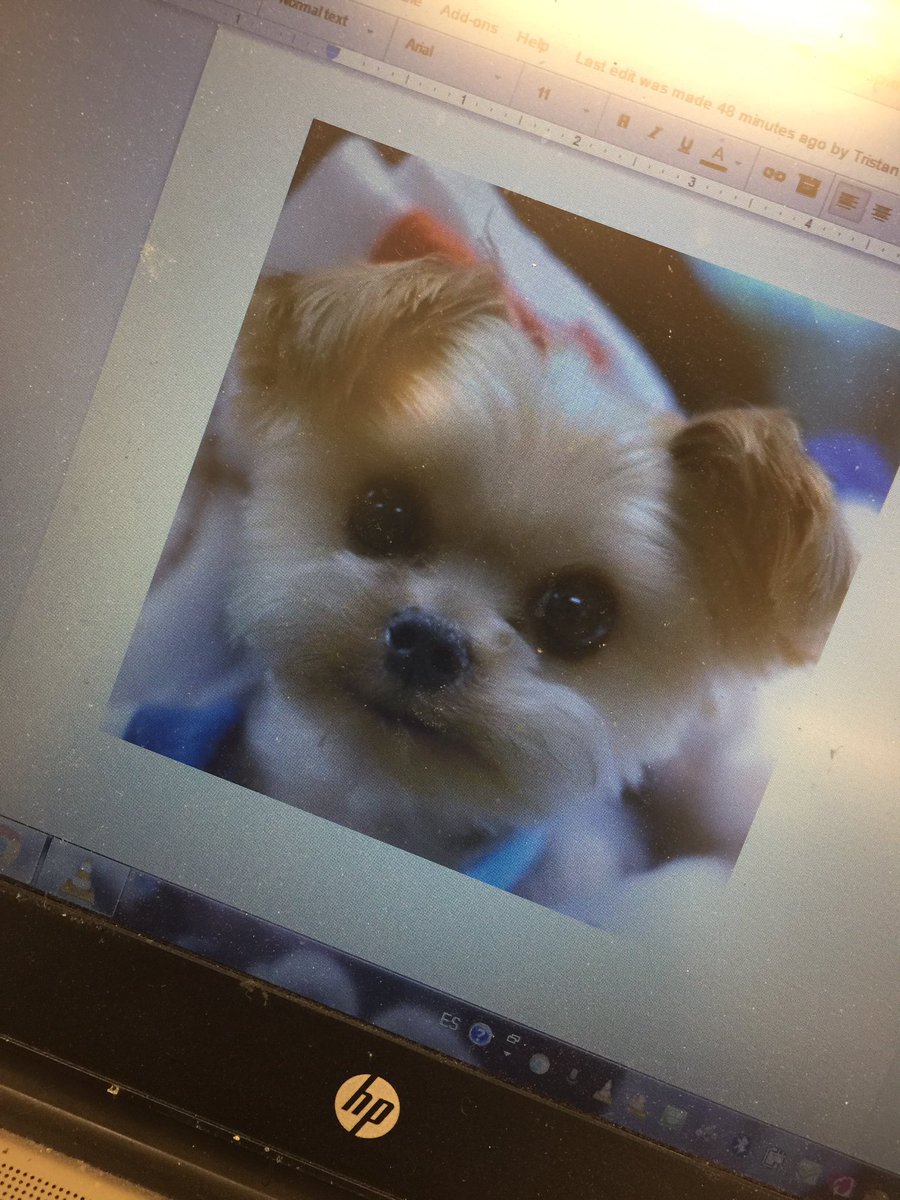 GKHSThorson's tweet photo. When students add random cute pictures #makesgradingmorefun #classof2020 #fantasticyear https://t.co/LLitYjiCr3